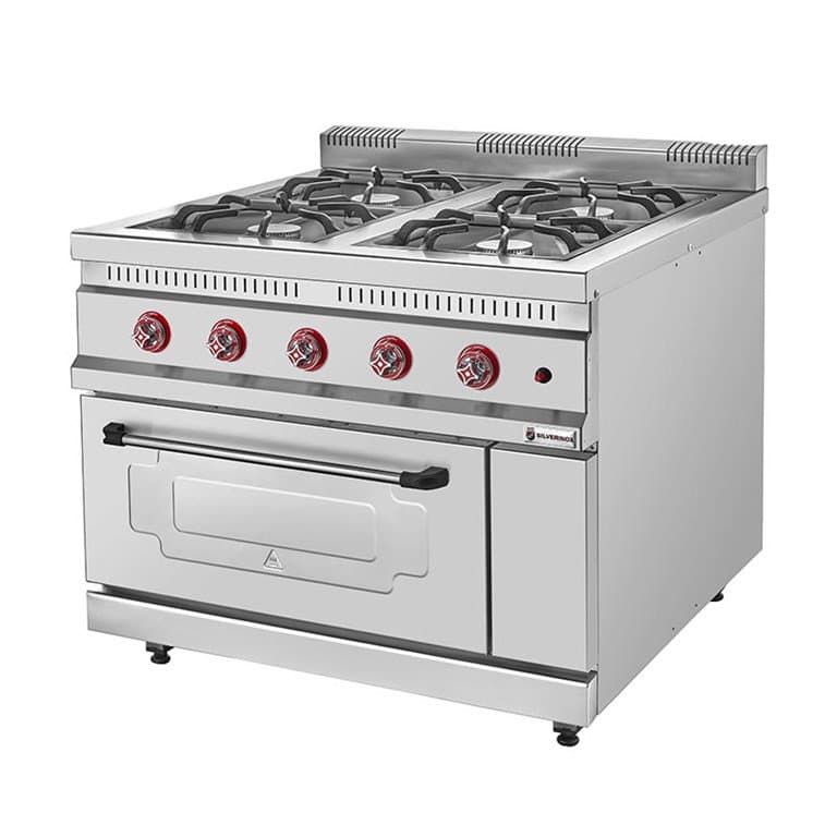 SILVERINOX 100x100 4 BACK GAZLI KUZİNE