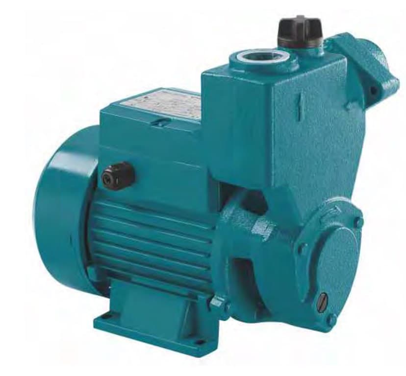 MOMENTUM PKSm75 KENDİNDEN EMİŞLİ SÜRTME FANLI 0,75kW POMPA